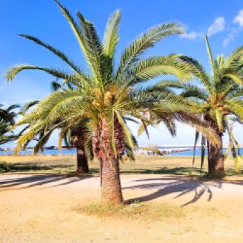 Kreta hat Charisma- auch im Winter! Endlos blauen Himmel, kristallklares Wasser, weitläufigen Sandstränden und köstlichen Kulinarik - (c) Ulrike & Stefan Engel
