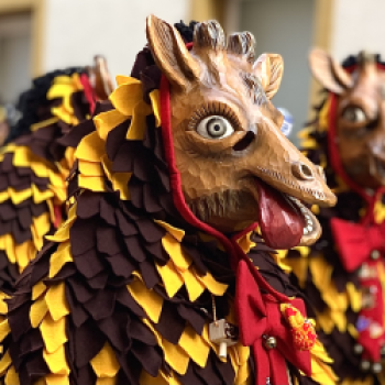 Ho Narro! Willkommen in der farbenfrohen Welt der Konstanzer Fasnacht - (c) MTK/Joy Abdulahovic