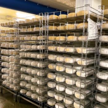 Toskanischer Schinken, hauchdünn aufgeschnitten, goldgrünes Olivenöl, Fenchelsalami und ein Stück Pecorino, der berühmte toskanische Schafskäse – schon beim Gedanken daran läuft einem das Wasser im Mund zusammen - (c) Hannelore Fisgus