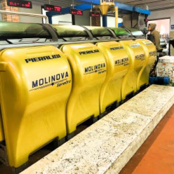 Toskanischer Schinken, hauchdünn aufgeschnitten, goldgrünes Olivenöl, Fenchelsalami und ein Stück Pecorino, der berühmte toskanische Schafskäse – schon beim Gedanken daran läuft einem das Wasser im Mund zusammen - (c) Hannelore Fisgus