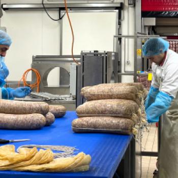 Toskanischer Schinken, hauchdünn aufgeschnitten, goldgrünes Olivenöl, Fenchelsalami und ein Stück Pecorino, der berühmte toskanische Schafskäse – schon beim Gedanken daran läuft einem das Wasser im Mund zusammen - (c) Hannelore Fisgus