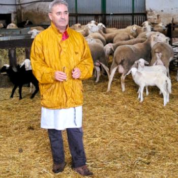 Der Geschmack des wilden Westens - Zamora träumte lange fast vergessen am Rand Spaniens - (c) Stefanie Bisping