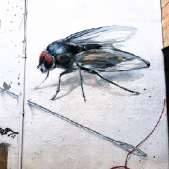Der Geschmack des wilden Westens - Zamora träumte lange fast vergessen am Rand Spaniens - (c) Stefanie Bisping
