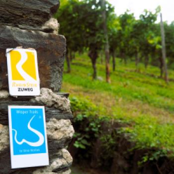 Das Weingut Mohr in Lorch im Rheingau, hier findet man die wohl ältesten Reben auf der hessischen Seite des Rheins - (c) Jörg Bornmann