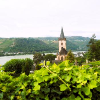 Das Weingut Mohr in Lorch im Rheingau, hier findet man die wohl ältesten Reben auf der hessischen Seite des Rheins - (c) Jörg Bornmann