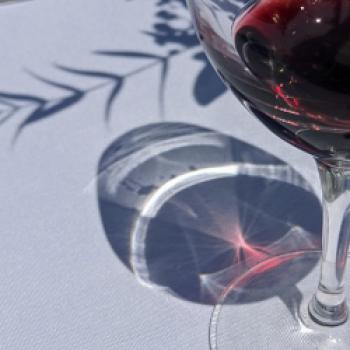100 Jahre Rioja: Spaniens bedeutendste Herkunftsbezeichnung feiert Jubiläum - (c) Carola Faber