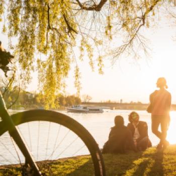 ...und auch Radtouren am Bodensee bietet sich vor dem Besuch des Weinfestes in Konstanz an - (c) MTK/Dagmar Schwelle