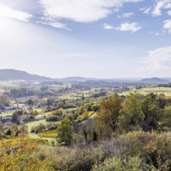 Herbst auf dem Teller: Wilde Wochen zwischen Inseln & Vulkanen, dem westlichen Bodensee und dem Hegau - (c) Stadt Singen/Buero Klare