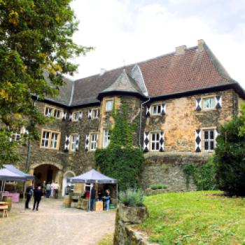 Tradition, Terroir und internationale Präsenz bestimmen das Weingut Prinz Salm in Wallhausen - (c) Thomas Rentschler