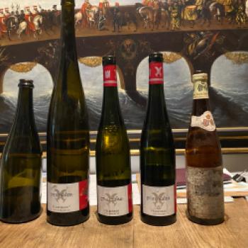 Tradition, Terroir und internationale Präsenz bestimmen das Weingut Prinz Salm in Wallhausen - (c) Thomas Rentschler