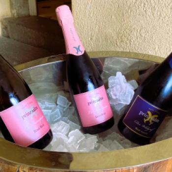Tradition, Terroir und internationale Präsenz bestimmen das Weingut Prinz Salm in Wallhausen - (c) Thomas Rentschler