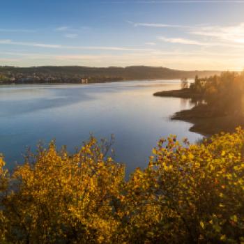 Herbst auf dem Teller: Wilde Wochen zwischen Inseln & Vulkanen, dem westlichen Bodensee und dem Hegau - (c) REGIO e.V./Daniel Kuppel