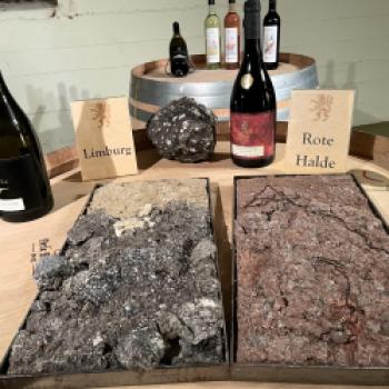 Unterschiedliche Gesteinslagen für die Burgunderweine - (c) Eva-Maria Mayring