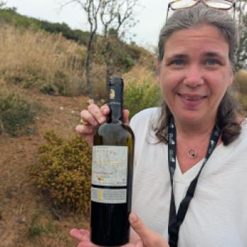 Languedocs faszinierende Weinwelt, die Landschaft, die Kulinarik und die Gesichter der Winzer - (c) Carola Faber