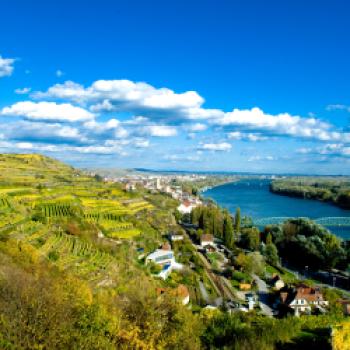 Die Wachau - Der Landstrich zwischen Melk und Krems gilt als eine der besten Weißweinregionen Österreichs - (c) Jörg Bornmann