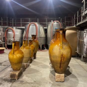 Amphorenweine, wie hier in der Cantina Amalberga, haben auch in Apulien eine lange Tradition - (c) Hannelore Fisgus