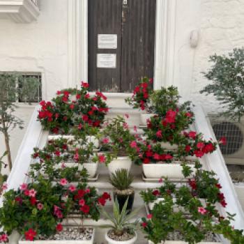 Blumentreppe in Ostuni - (c) Hannelore Fisgus