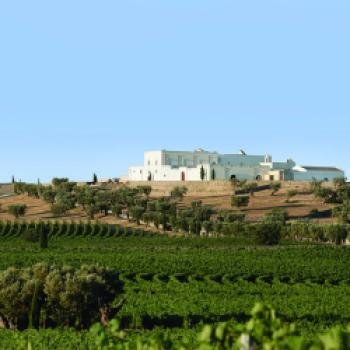 Die Masseria Amatuola liegt inmitten der Weinberge - (c) Hannelore Fisgus