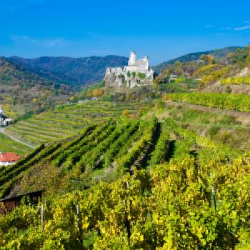 Die Wachau läßt sich beim Wandern oder mit dem Fahrrad wunderbar erkunden - (c) Jörg Bornmann