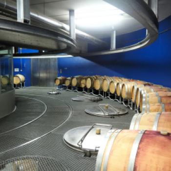 Am 11. und 12. April 2026 ist es wieder soweit: Einer der schönsten Termine im Weinjahr steht bevor. Das Weingut Alois Lageder lädt zur SUMMA ein - (c) Jörg Bornmann