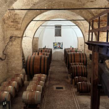 Verkostung Weingu tAntica Casa Pietrantonij (Programmpunkt) - (c) Casa Abruzzo