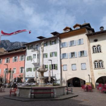 Zwischen Tradition und Frische: Der Kalterersee zeigt Profil - (c) Carola Faber