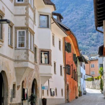 Zwischen Tradition und Frische: Der Kalterersee zeigt Profil - (c) Carola Faber