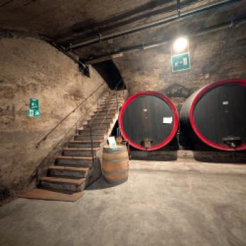 Zwischen Tradition und Frische: Der Kalterersee zeigt Profil - (c) Carola Faber