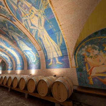 Zwischen Tradition und Frische: Der Kalterersee zeigt Profil - (c) Carola Faber