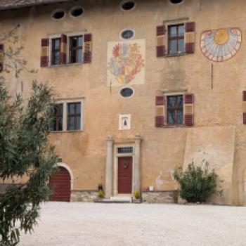 Zwischen Tradition und Frische: Der Kalterersee zeigt Profil - (c) Carola Faber