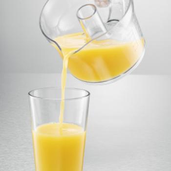 Die Zitruspresse ZP 50 der Firma Rommelsbacher sorgt für frischen Südfrüchtegenuss - (c) Rommelsbacher