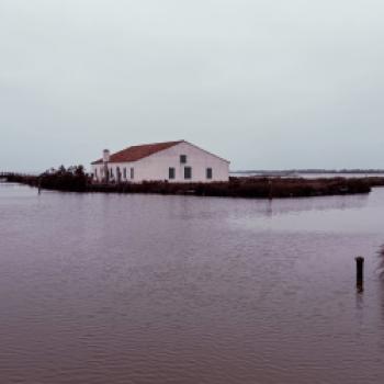 Genüsse für alle Sinne: Ferrara und das Po-Delta - (c) Maren Recken