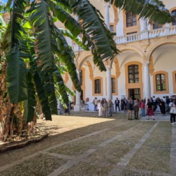 Sicilia en Primeur 2026: Palermo wird zum Zentrum des internationalen Weintourismus - (c) Carola Faber