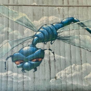 München war Vorreiter der deutschen Graffiti-Szene - Streetart bedeutet, mit Kunst im öffentlichen Raum konfrontiert zu werden. Die Kunst ist für alle zugänglich, und das Beste daran ist: Man zahlt keinen Eintritt - (c) Gabi Dräger