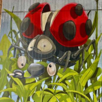 München war Vorreiter der deutschen Graffiti-Szene - Streetart bedeutet, mit Kunst im öffentlichen Raum konfrontiert zu werden. Die Kunst ist für alle zugänglich, und das Beste daran ist: Man zahlt keinen Eintritt - (c) Gabi Dräger