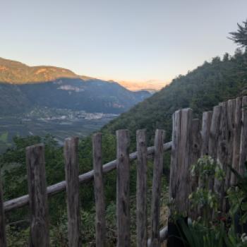 Zwei Terroirs, eine Vision - 70 Jahre Sauvignon-Kompetenz - (c) Carola Faber