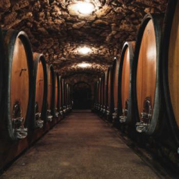 Zwischen Kirschbäumen und Blaufränkisch: Das Weingut Kerschbaum im Burgenland - (c) Kerschbaum