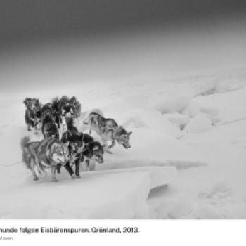 (c) Ragnar Axelsson