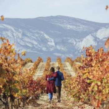 Herbst in Rioja: Wenn Weinlandschaften zwischen Reben, Architektur und Genuss zur Bühne werden - (c) CRR Rioja