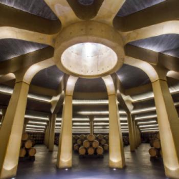 Herbst in Rioja: Wenn Weinlandschaften zwischen Reben, Architektur und Genuss zur Bühne werden - (c) CRR Rioja