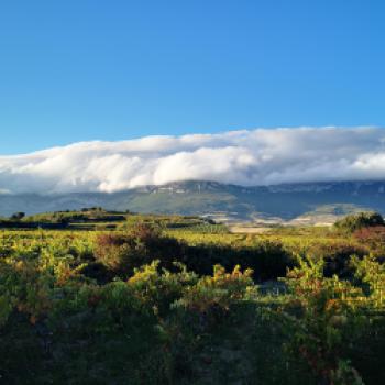 Herbst in Rioja: Wenn Weinlandschaften zwischen Reben, Architektur und Genuss zur Bühne werden - (c) CRR Rioja