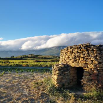 Herbst in Rioja: Wenn Weinlandschaften zwischen Reben, Architektur und Genuss zur Bühne werden - (c) CRR Rioja