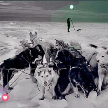 „Ragnar Axelsson. Greenland“: Ausstellung im Kunstfoyer der Versicherungskammer Kulturstiftung macht die Arktis als Brennpunkt von Klimawandel, Geopolitik und Energiewende sichtbar - (c) Gabi Dräger