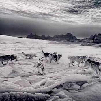 „Ragnar Axelsson. Greenland“: Ausstellung im Kunstfoyer der Versicherungskammer Kulturstiftung macht die Arktis als Brennpunkt von Klimawandel, Geopolitik und Energiewende sichtbar - (c) Gabi Dräger