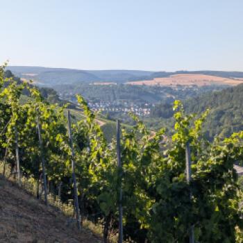 Wo die Ruwer den Ton angibt  An der Ruwer entsteht Wein unter anspruchsvollen Bedingungen - (c) Carola Faber