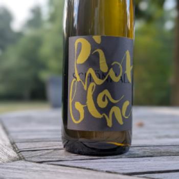 Weingut Schönhals – Der Natur ihren Rhythmus lassen - (c) Carola Faber