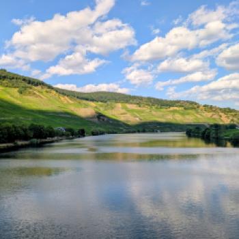 DER RING Mosel, bei Piesport - (c) Carola Faber