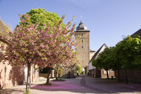 Karlsruhe – mmmhhhs für alle! - Karlsruher Wochenmärkte bieten viele Produkte aus der Region - (c) Karlsruhe Tourismus GmbH/Foto Düpper