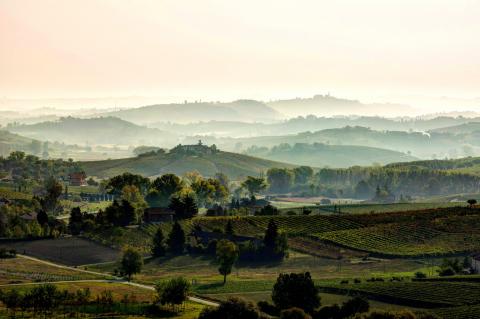 Die Weinproduktion des Monferrato erreicht neue Meilensteine - Piemont Weindaten 2021 - (c) Consorzio Barbera d'Asti e Vini del Monferrato