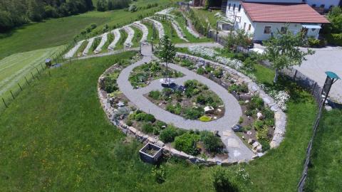 Oase für Pflanzen und Insekten, ein Spaziergang durch die Kindheit im Obst- und Naturgarten in Lohnsburg - (c) Gabi Dräger